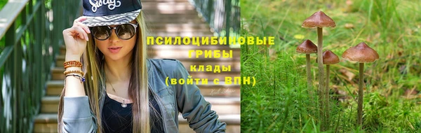spice Арсеньев